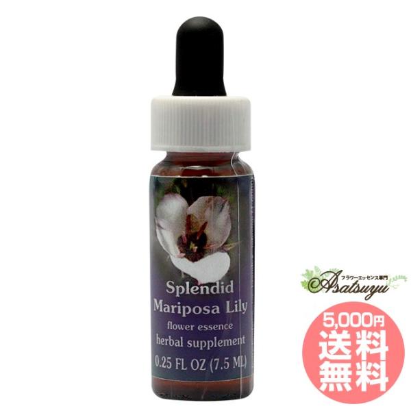 慈愛の力を活性化ポジティブな性質：「世界の母」との魂の整合。人全員が同じ一人の「母」を共有していると認識する能力。人というすべての家族に対する、子育てや慈愛の超越的な力を活性化する能力。バランスが乱れた状態：人間性の根源的な状態として、意識...