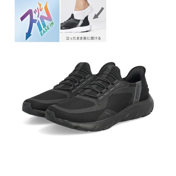 限定セール!!SHAPERS pacey proseriers 5FIN SHAPERS Asher Pacey サーフボードフィン 3枚セット 【公式通販】