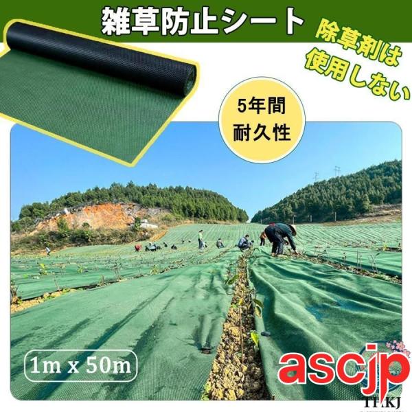 防草シート除草シート 10年耐久 高密度 高透水 不織布 雑草 防止シート 厚手 耐