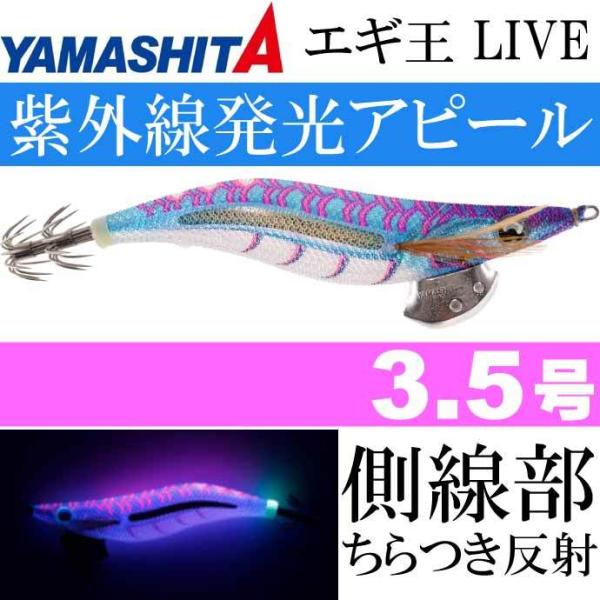 ヤマシタ　ネオンブライト12個セット 収納ケース付き ヤマシタネオンブライト12個セット 収納ケース付き