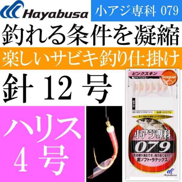 AW 079sNXL HS079 TrLނd| b12 nX4 6 Hayabusa nuT HS079 ނ Ks1729