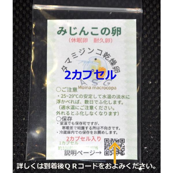 2026年度産 国産　みじんこ　乾燥タマミジンコ休眠卵 　(耐久卵）2カプセル　約200粒　約400匹相当