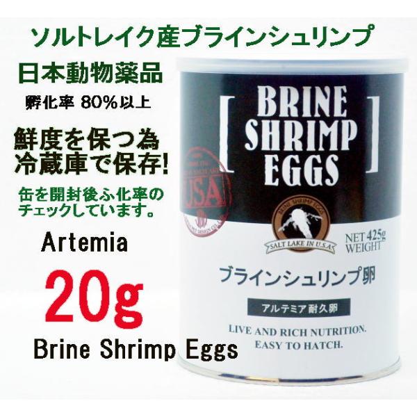日本動物薬品　ニチドウ 　ブラインシュリンプ エッグ  20g ユタ州 ソルトレイク産
