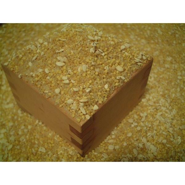 Vv܍ 550g Y G ΂Ȃ Ȃ \oȂ AM[̕ т̐FςȂ Ȃ Hׂ₷  Ђ    ͂Ɣ