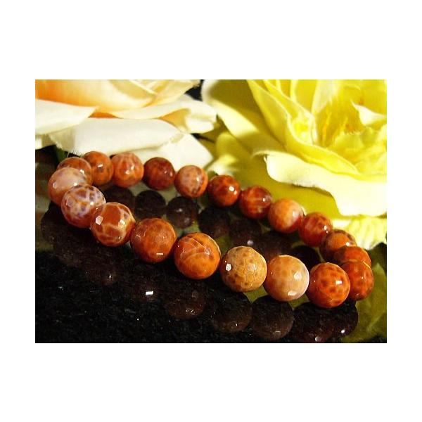 t@CA[AQ[g/VR΃p[Xg[uXbg/~[{[Jbg/10mm/1_