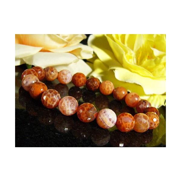 t@CA[AQ[g/VR΃p[Xg[uXbg/~[{[Jbg/10mm/1_