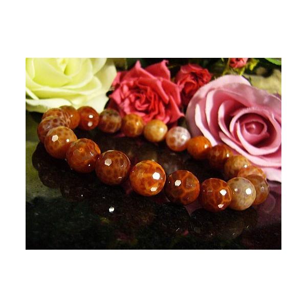 t@CA[AQ[g/VR΃p[Xg[uXbg/~[{[Jbg/10mm/1_