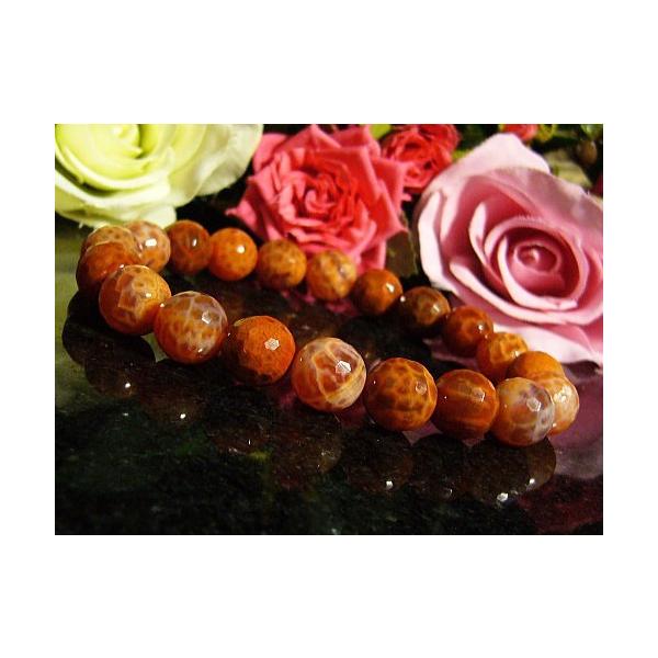 t@CA[AQ[g/VR΃p[Xg[uXbg/~[{[Jbg/10mm/1_