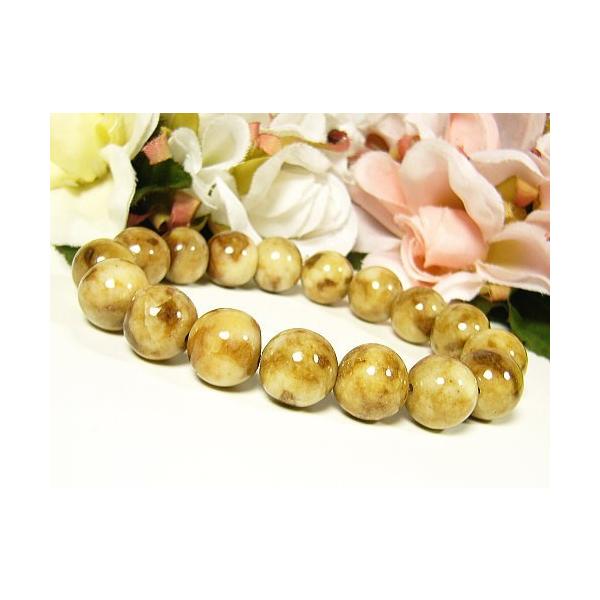 Ő13mm/󏭐FuE/VR΃p[Xg[uXbgy1_́z