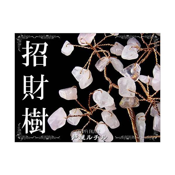 [YNH[c̖//VR΃p[Xg[CeA/u