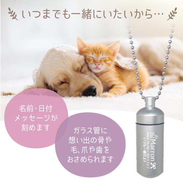 ���S�̎茳���{8�_�Z�b�g�t �⍜�y���_���g �K���X�Ǔ��� M�T�C�Y �S7�F 3�s ���� �G��220�� �⍜�l�b�N���X �� �⍜���� ���� �L �⍜�J�v�Z�� ��d �y�b�g���X ���i�摜3