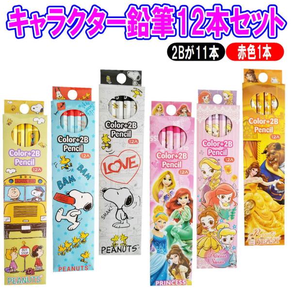 Disney Store キャラクターピン 12個セット ashop01_21085656