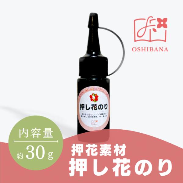 のり出品 asia-garden_1411312