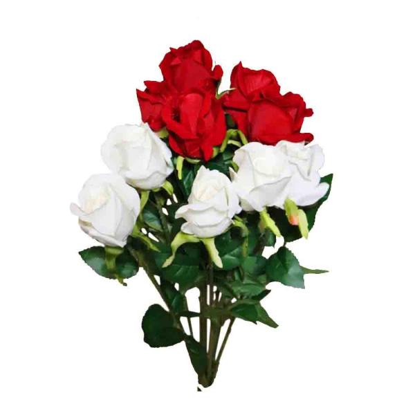 o@KN@ԁ@10{Zbg@ԑ@MtgEv[g@FLC-1 (bhzCg)