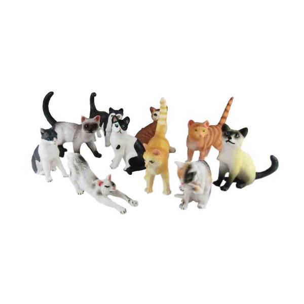 L@Lbg@L͌^@tBMA@10̃Zbg@傫F5`6cm