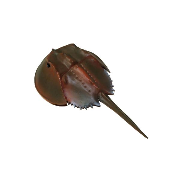 JugKj@Jj@͌^@tBMA faf-c3@@F17x8x3cm