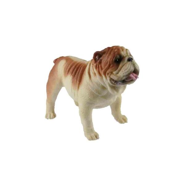 uhbO@@͌^@tBMA@^CvD@@F10x5x8cm(10cmA5cmA8cm)