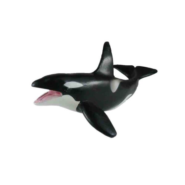 V`@͌^@tBMA@^CvA@@F20x11x8cm(20cmAq̕11cmA8cm)