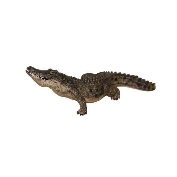 j@͌^@tBMA@^CvA@@F1875cm