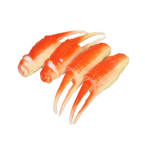 蟹の模型 Amazon.co.jp: Eden Toys カブトガニ 甲蟹 兜蟹 ? 動物 海洋 節