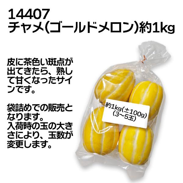 韓国産チャメ(約1kg/3〜5玉)【冷蔵】季節商品2026年も入荷しました！