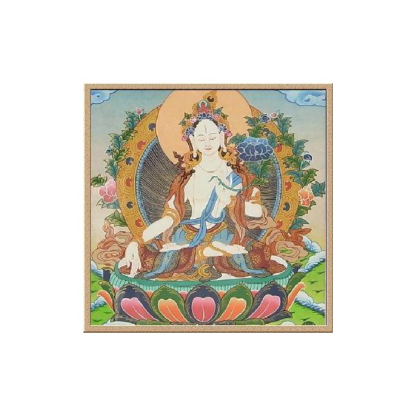 asianasian_5010111-2