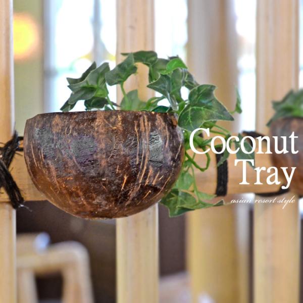 RRicgC tbNt g[   ANZT[ [ ~jgC |gC GA[vc oth-0131