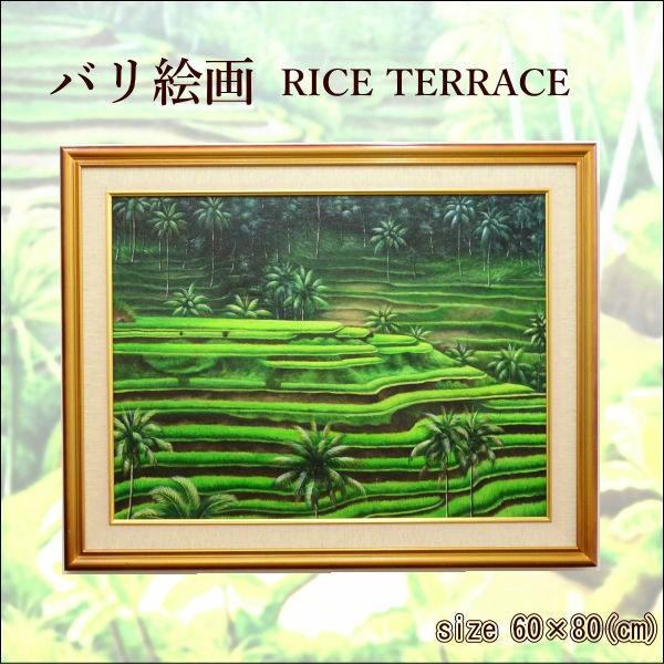 oG CXeX OʃKXȂ PIC-0081-4