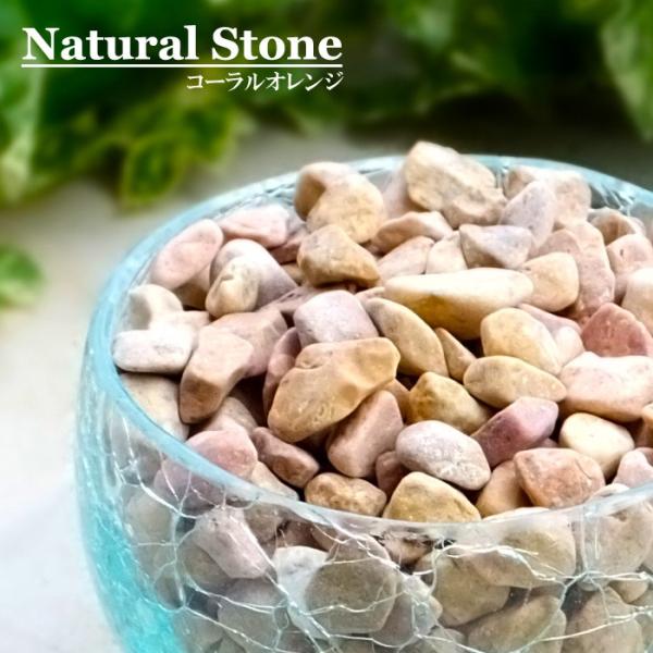 AWA o i`Xg[   R[IW sto-0216-c