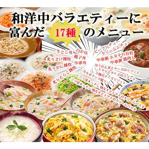 アマノバラエティセット17種類 アマノフーズ フリーズドライ どんぶり シチュー 雑炊 おかゆ リゾット パスタ 保存食 非常食 御年賀 ギフト 受験生 応援 Buyee Buyee Japanese Proxy Service Buy From Japan Bot Online