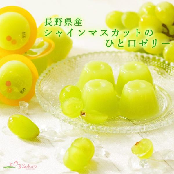 쌧YVC}XJbgЂƂ[[@15 v[g v[g