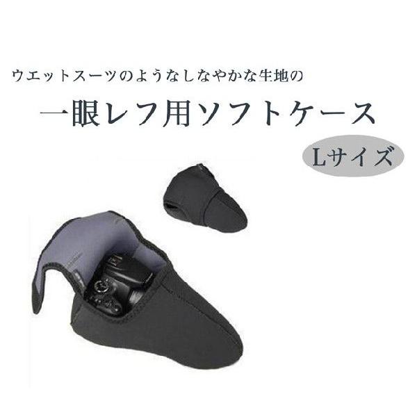 Jp\tgP[X LTCY ჌tp o[Vu J|[`