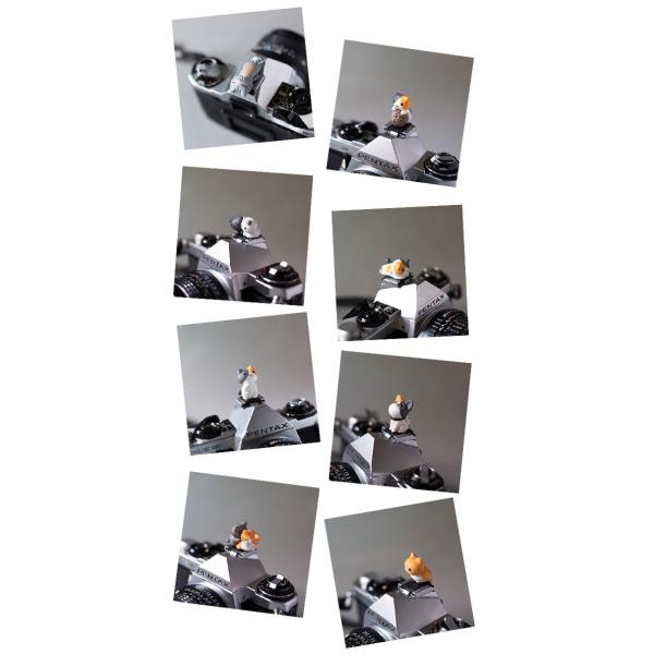 ホットシューキャップ 一眼レフ ミラーレス一眼レフ用 とっても可愛い子ネコホットシューカバー 全11種 各メーカー共通タイプ Canon Nikon 子猫 Buyee Buyee 日本の通販商品 オークションの代理入札 代理購入