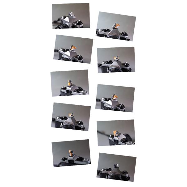 ホットシューキャップ 一眼レフ ミラーレス一眼レフ用 とっても可愛い子ネコホットシューカバー 全11種 各メーカー共通タイプ Canon Nikon 子猫 Buyee Buyee 日本の通販商品 オークションの入札サポート 購入サポートサービス