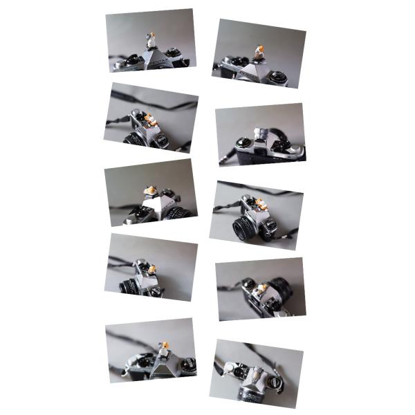 ホットシューキャップ 一眼レフ ミラーレス一眼レフ用 とっても可愛い子ネコホットシューカバー 全11種 各メーカー共通タイプ Canon Nikon 子猫 Buyee Buyee 日本の通販商品 オークションの入札サポート 購入サポートサービス