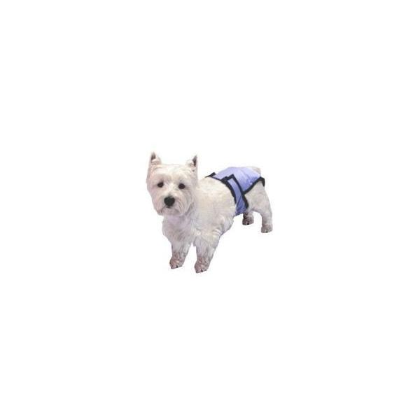 v[`pc(􂦂Icj@@rTCY@@