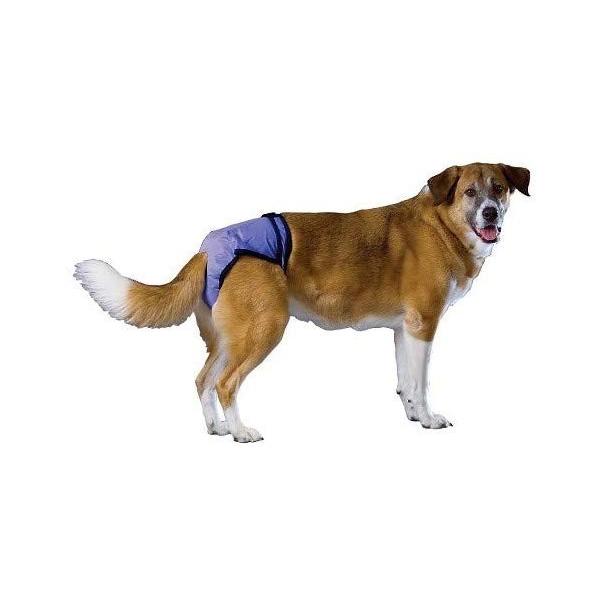 v[`pc(􂦂Icj@@kTCY@@