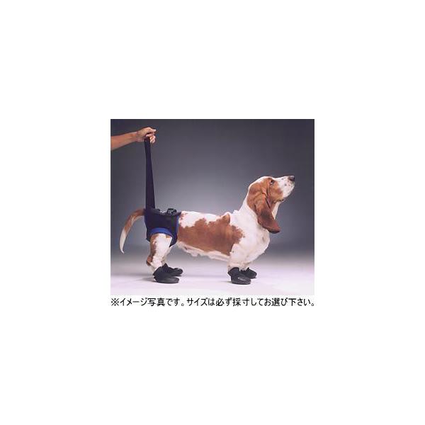 Walk About ㎈pn[lX@r@`؃bgppi