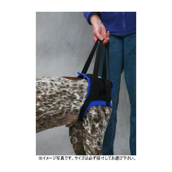 Walk About ㎈pn[lX@l@`؃bgppi