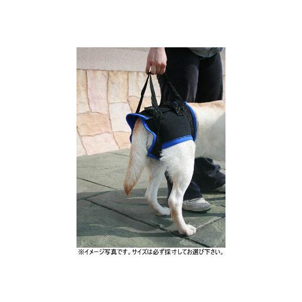 Walk About ㎈pn[lX@wk@`؃bgppi