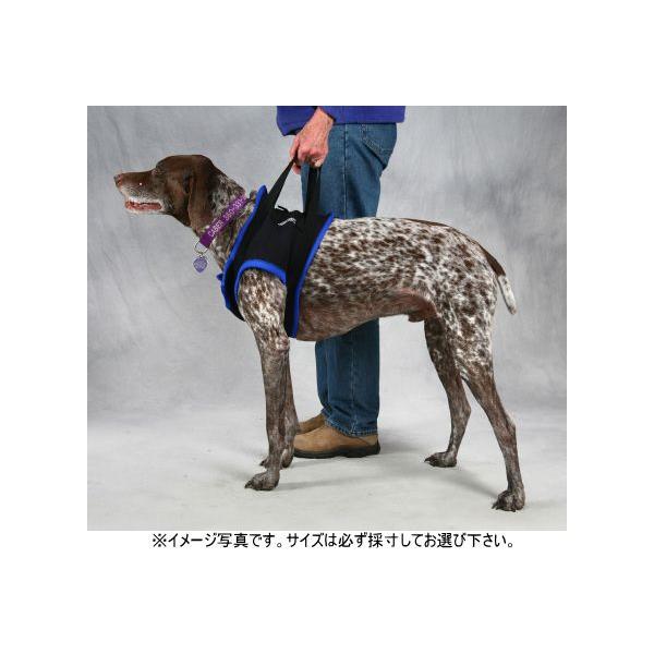 Walk About Opn[lX@lk@`؃bgppi