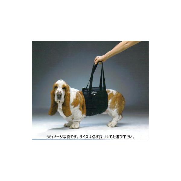 Walk About ̗pn[lX@r@`؃bgppi