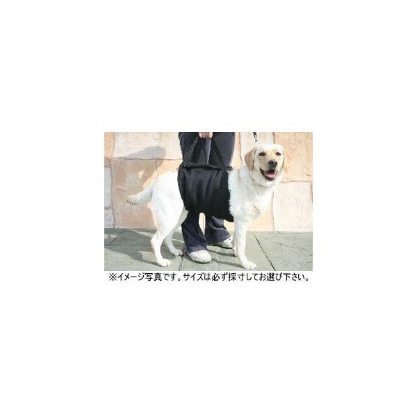 Walk About ̗pn[lX@k@`؃bgppi