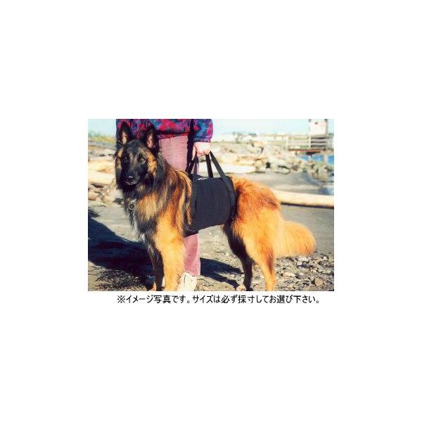 Walk About ̗pn[lX@Xk@`؃bgppi