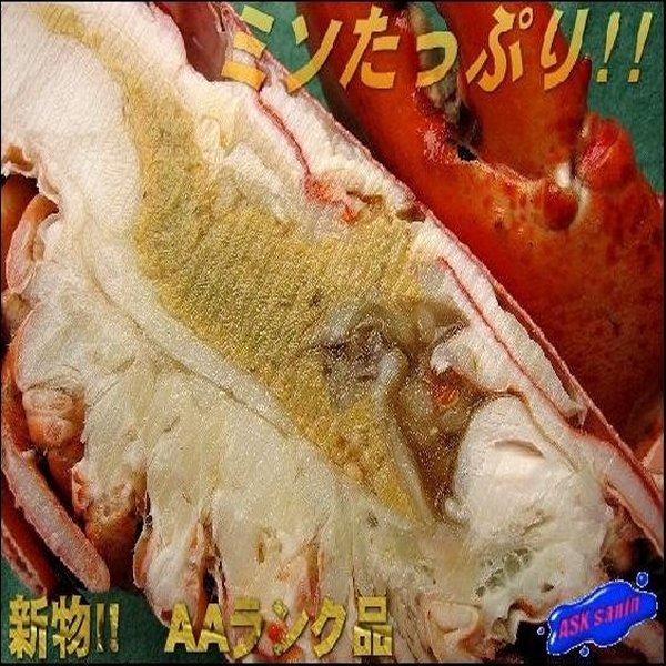 [Release date: November 7, 2007]■商品内容ボイルオマール海老1尾(300〜350g)※解凍後そのままお召し上がりいただけます。大型のはさみを持ったエビです。北米のパーティーでは主役の座を占めメインディッシュと...