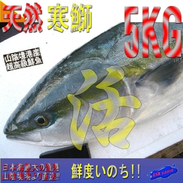 格安新品  ask-sanin_mana10 カードファイト!! ヴァンガード