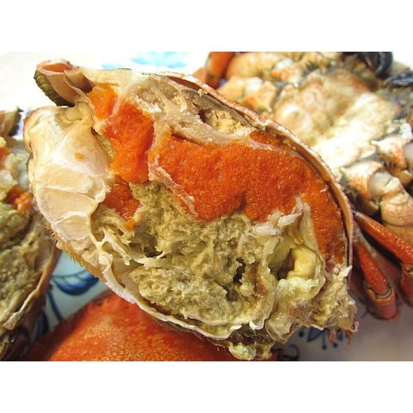 ボイルストーンクラブ メス 1杯250 350g かに カニ 蟹 Buyee Buyee Japanese Proxy Service Buy From Japan Bot Online