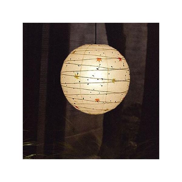 p a |Cgp VF[h ݂ a30cm `H| a aƖ эH| P-12M