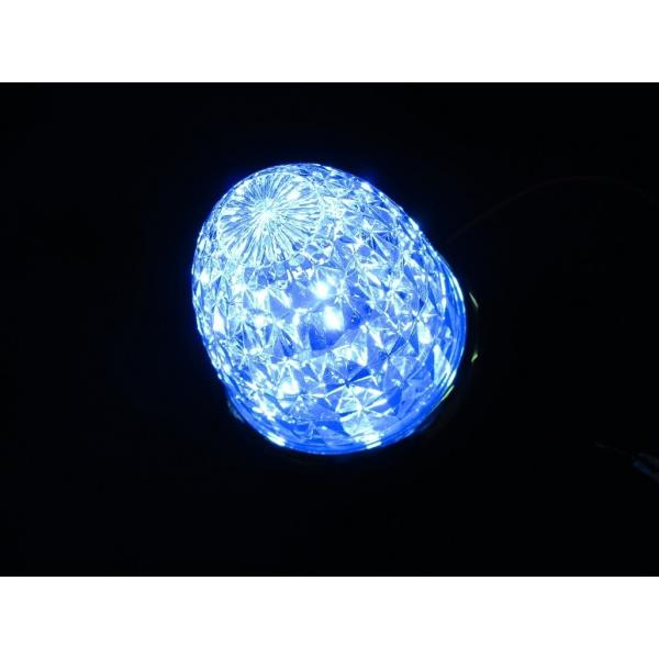 aslanshop2580_532616