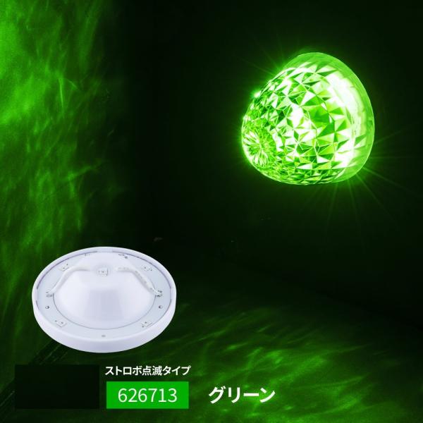 aslanshop2580_626713